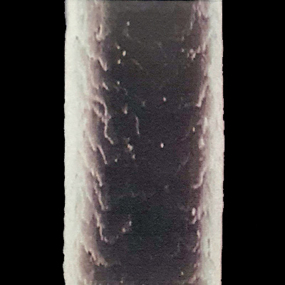 human hair cuticle microscop